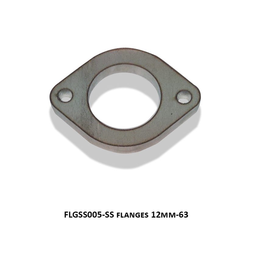SS flanges 12mm-63